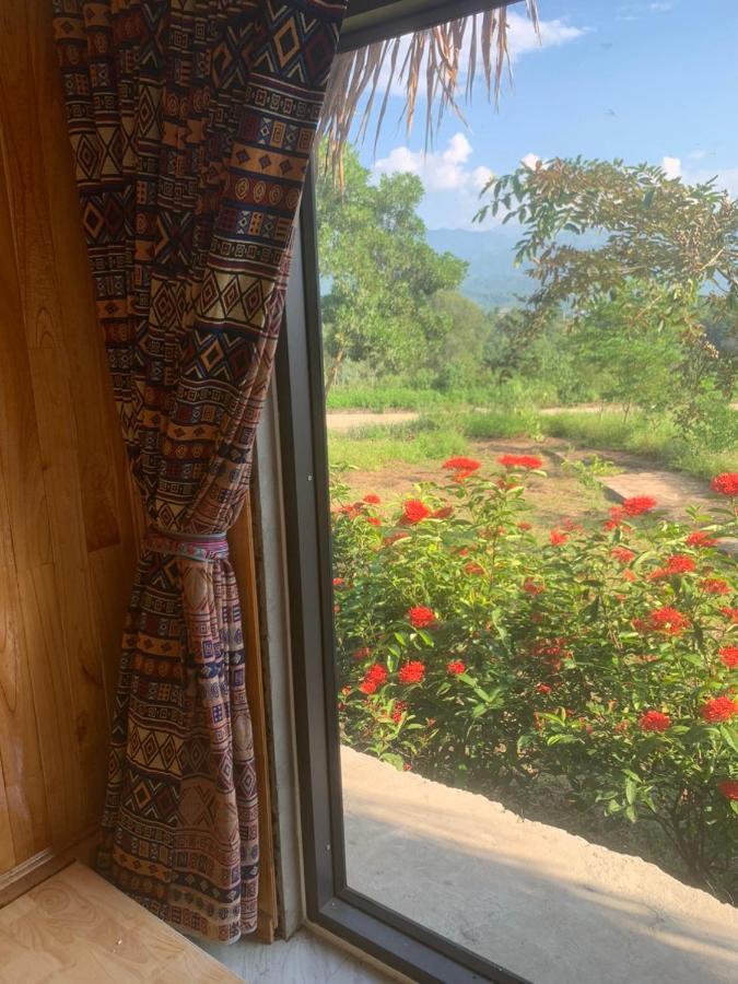 Homestay Nha Cua Mi - Mi'S House Yen Bai Dış mekan fotoğraf