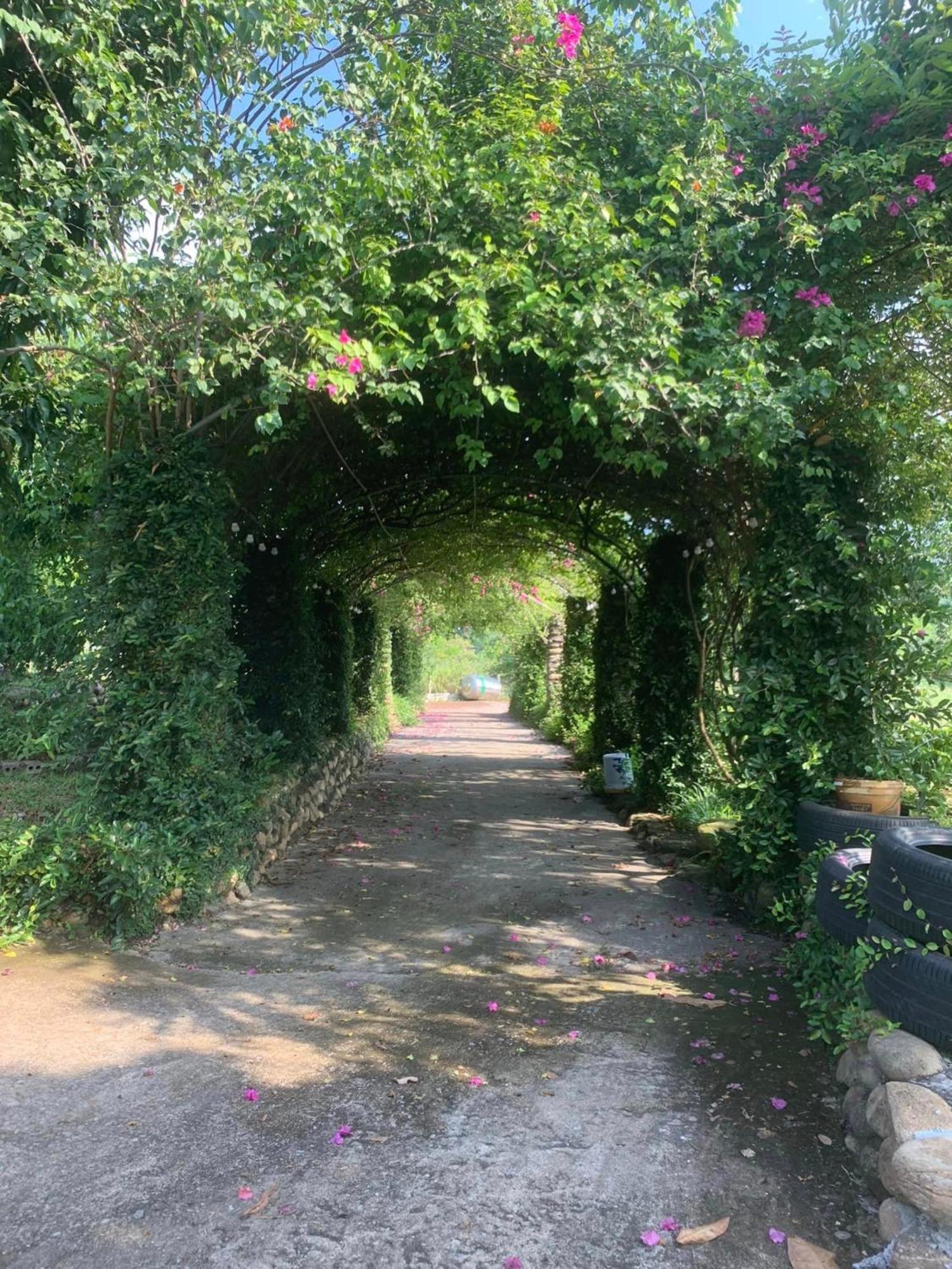 Homestay Nha Cua Mi - Mi'S House Yen Bai Dış mekan fotoğraf