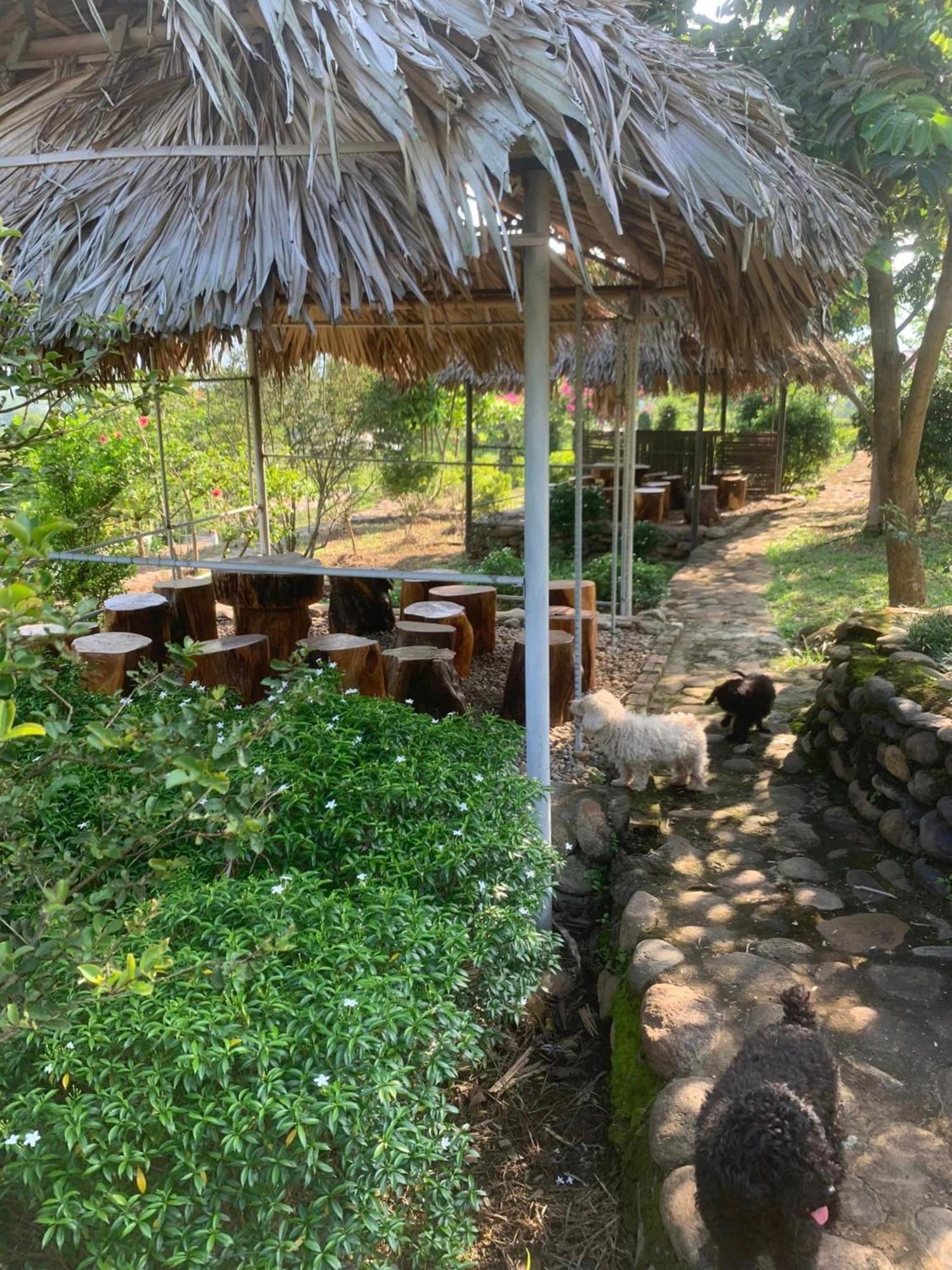 Homestay Nha Cua Mi - Mi'S House Yen Bai Dış mekan fotoğraf