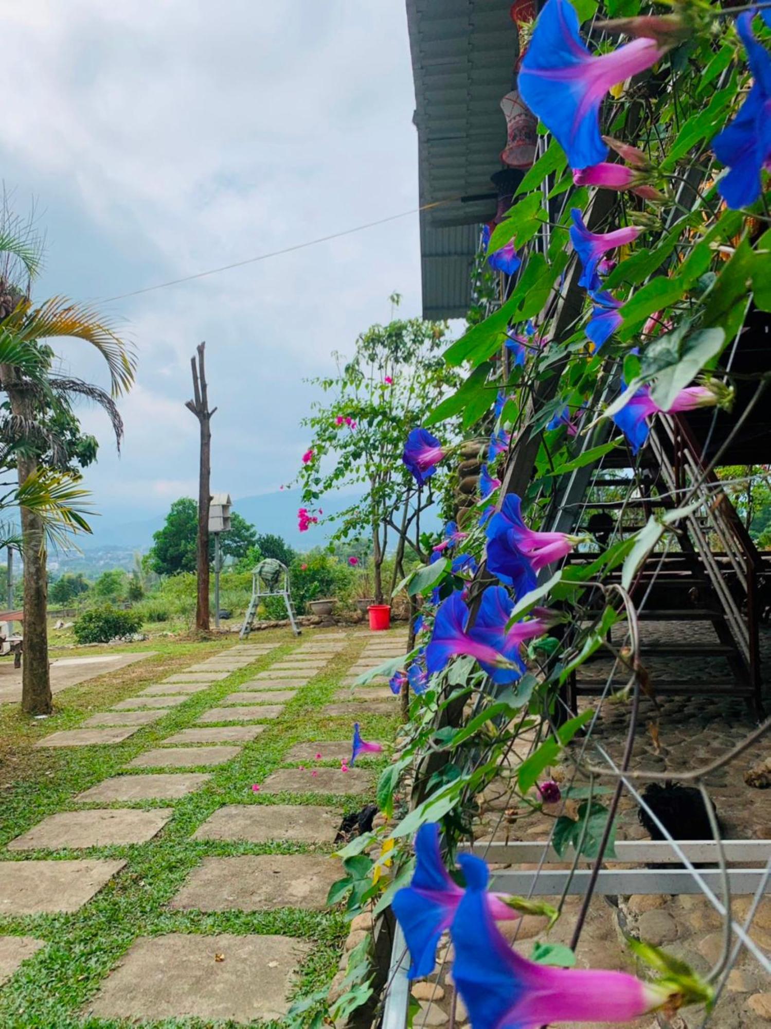 Homestay Nha Cua Mi - Mi'S House Yen Bai Dış mekan fotoğraf