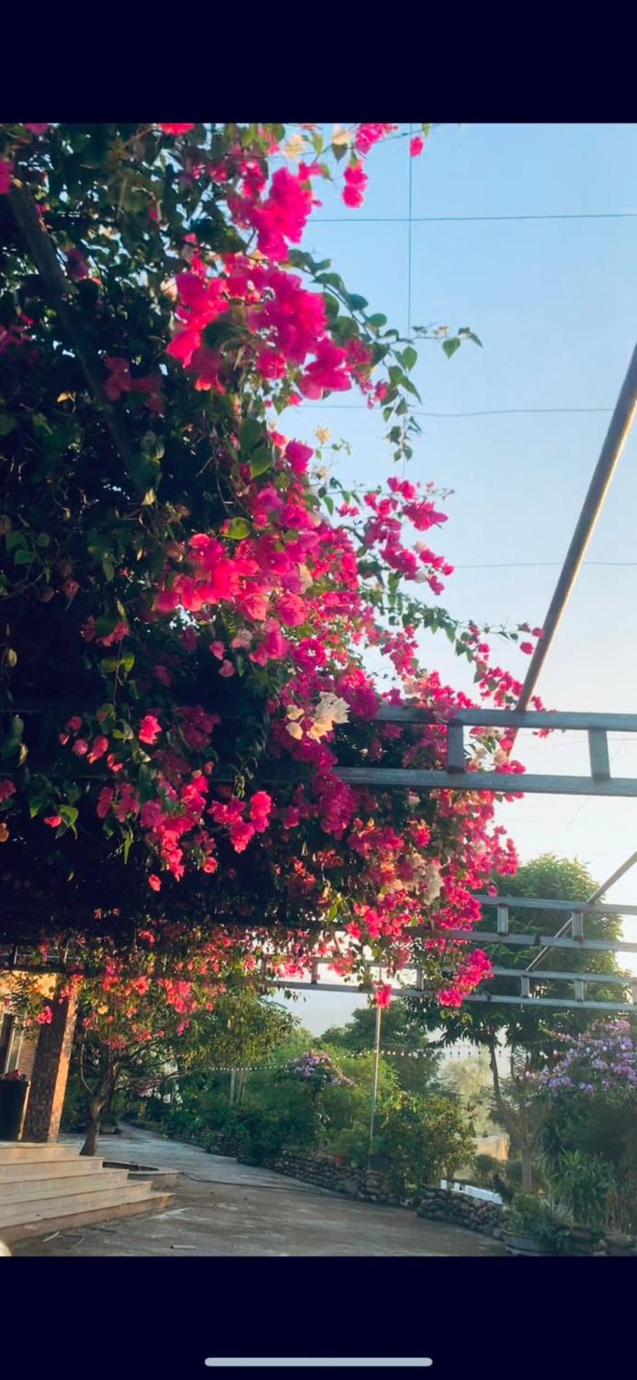 Homestay Nha Cua Mi - Mi'S House Yen Bai Dış mekan fotoğraf