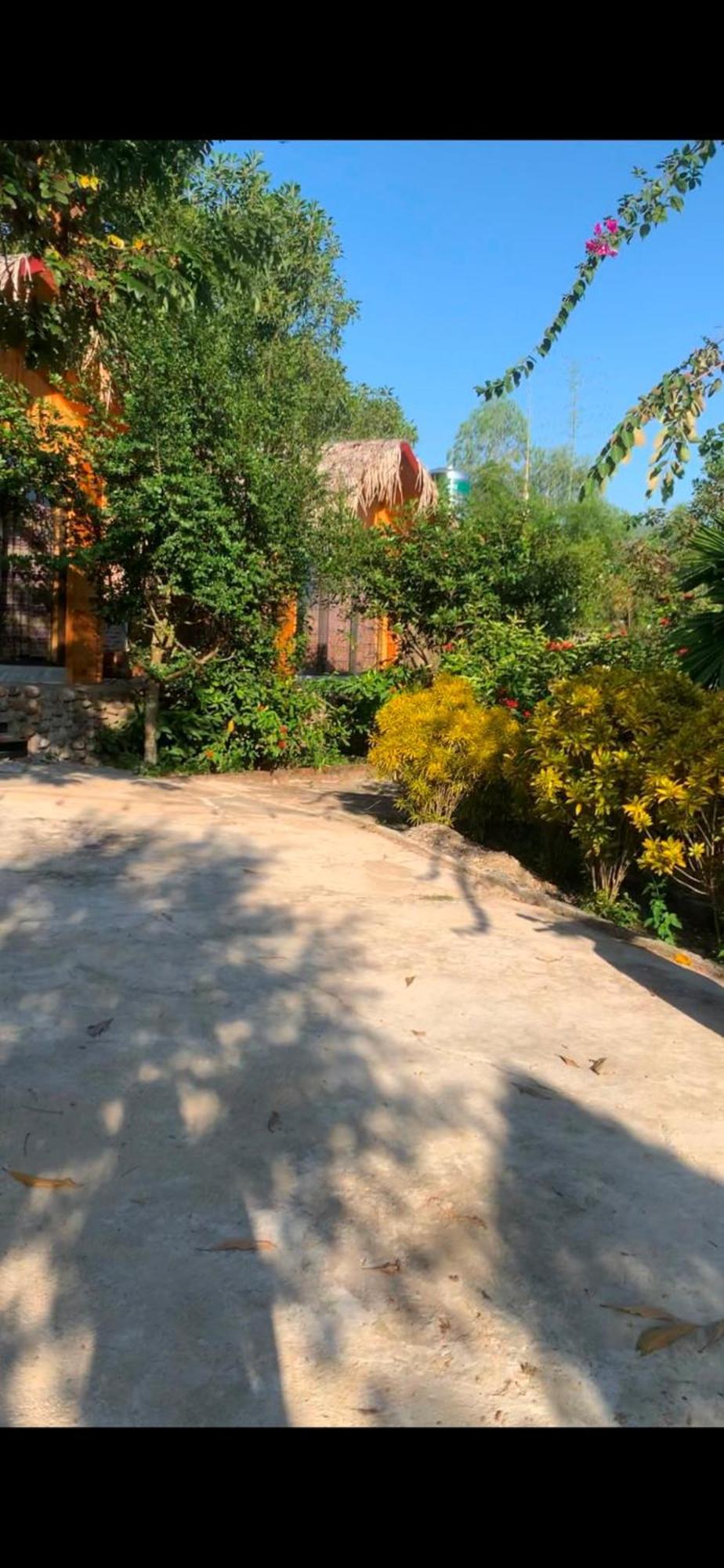 Homestay Nha Cua Mi - Mi'S House Yen Bai Dış mekan fotoğraf